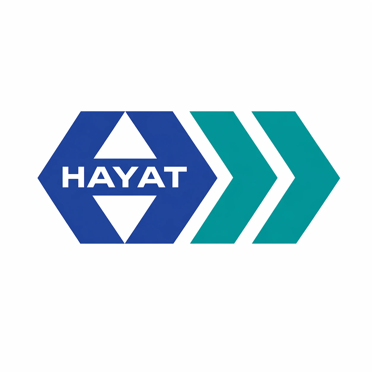 Hayat pharmaceutical industries